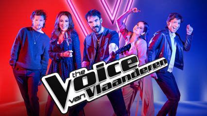 the voice van vlaanderen